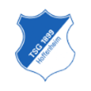 Hoffenheim crest